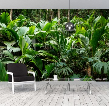 Bild på Tropical jungle with giant green fern on the Seychelles